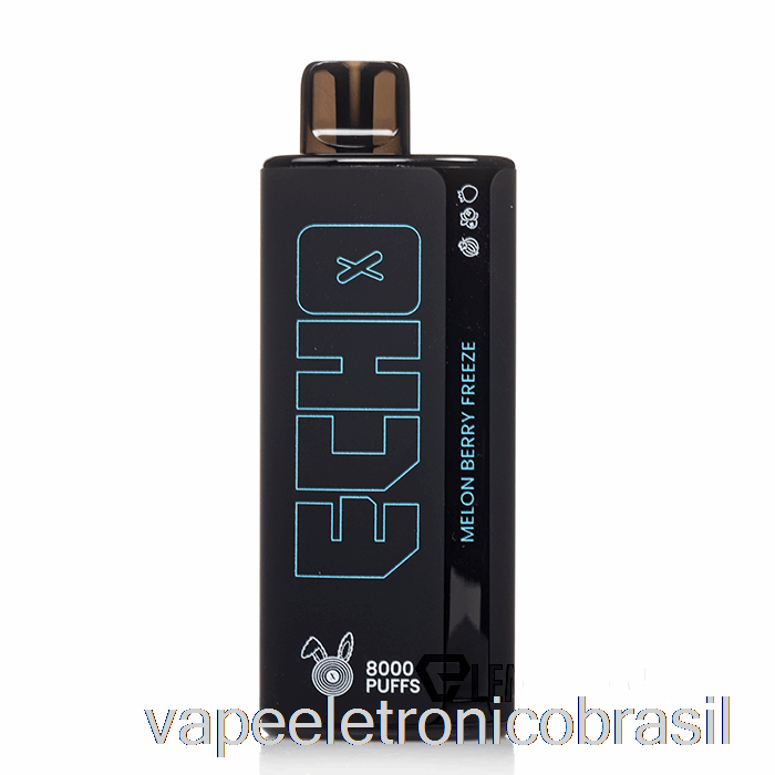 Vape Recarregável Echo 8000 Descartável Melon Berry Freeze